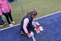 IMG_0732-2024-11-03-17_36_44