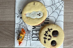 IMG_0742-2024-11-03-17_37_08