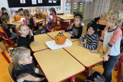 IMG_0752-2024-11-03-17_37_29