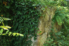 IMG_20240624_092308397