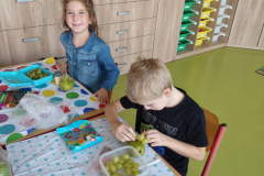 IMG_20231013_094702308