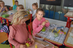 IMG_20231013_094749058_HDR