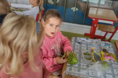 IMG_20231013_094758039_HDR