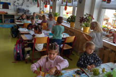 IMG_20231013_095721931_HDR