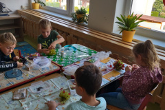 IMG_20231013_095947478_HDR