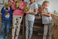 IMG_20231013_102311171_HDR