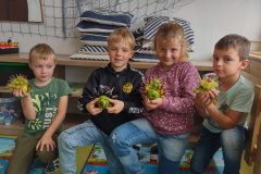 IMG_20231013_102411763_HDR