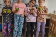 IMG_20231013_102601457_HDR