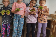 IMG_20231013_102606358_HDR