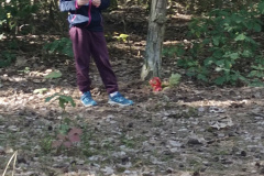 IMG_20260930_103450