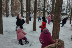 IMG_20231206_095440386_HDR