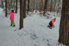 IMG_20231206_095444784_HDR