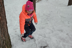 IMG_20231206_095522140_HDR