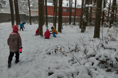 IMG_20231206_095537333_HDR