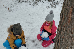 IMG_20231206_095551199_HDR