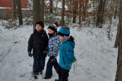 IMG_20231206_095558880_HDR