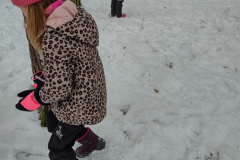 IMG_20231206_095615702_HDR