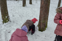 IMG_20231206_095625578_HDR