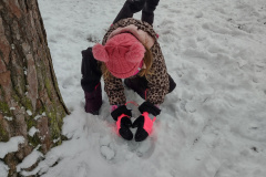 IMG_20231206_095633640_HDR