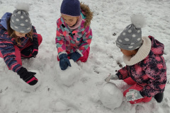 IMG_20231206_100338443_HDR