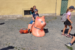 IMG_20250613_102647133_HDR