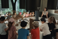 IMG_20250613_111029411_HDR