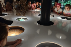 IMG_20250613_111040104_HDR