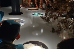 IMG_20250613_111134504_HDR