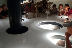 IMG_20250613_111216902