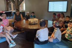 IMG_20250613_115453349_HDR