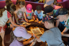 IMG_20250613_120824671_HDR