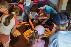 IMG_20250613_120919356_HDR