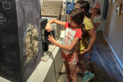 IMG_20250613_124004246_HDR