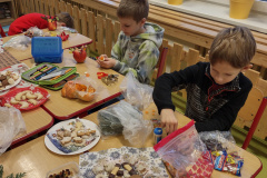 IMG_20241220_082407844_HDR