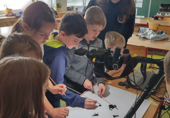 IMG_20221107_094015684_HDR