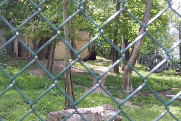 DSCN2378