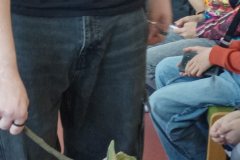 IMG_20260423_124704_Burst01