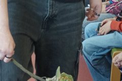 IMG_20260423_124704_Burst02