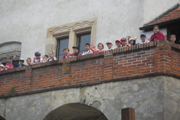 SDC13774