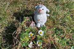 IMG-20250401-WA0015