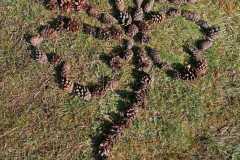 IMG-20250401-WA0018