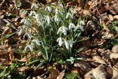 IMG-20250401-WA0022