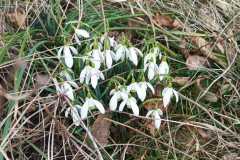 IMG-20250401-WA0032