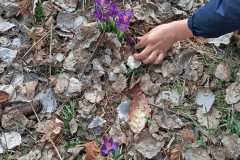 IMG-20250401-WA0035