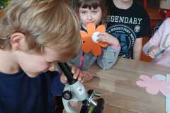 IMG-20250401-WA0040
