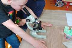 IMG-20250401-WA0043