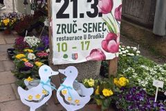 WhatsApp-Image-2026-04-06-at-09.08.29-2