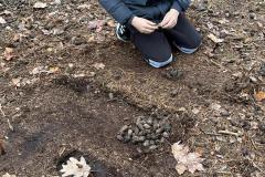 IMG-20250401-WA0057