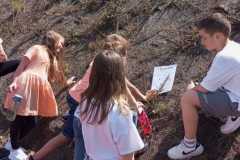 IMG-20240501-WA0022