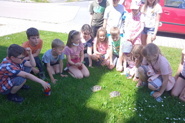 IMG_20210604_140132_1